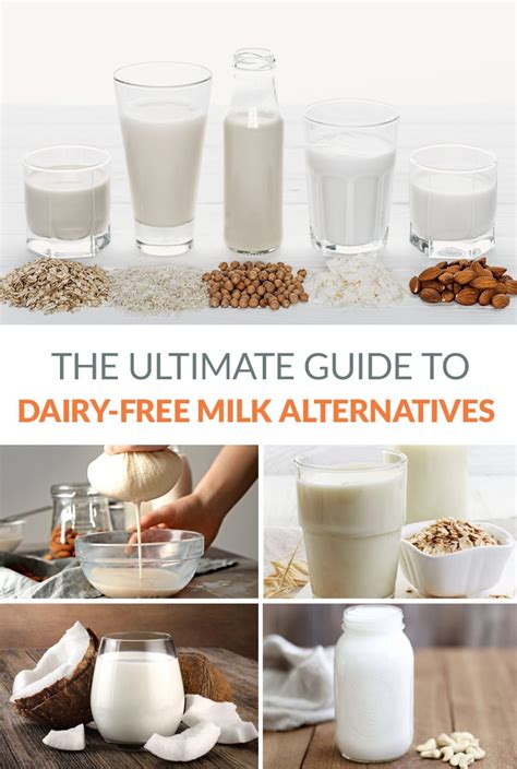 Mavical Milk and Pregnancy: A Guide for Expecting Mothers